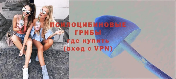 mdpv Бронницы