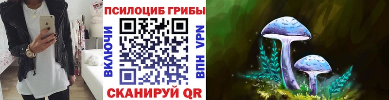 Галлюциногенные грибы Cubensis  Городище 